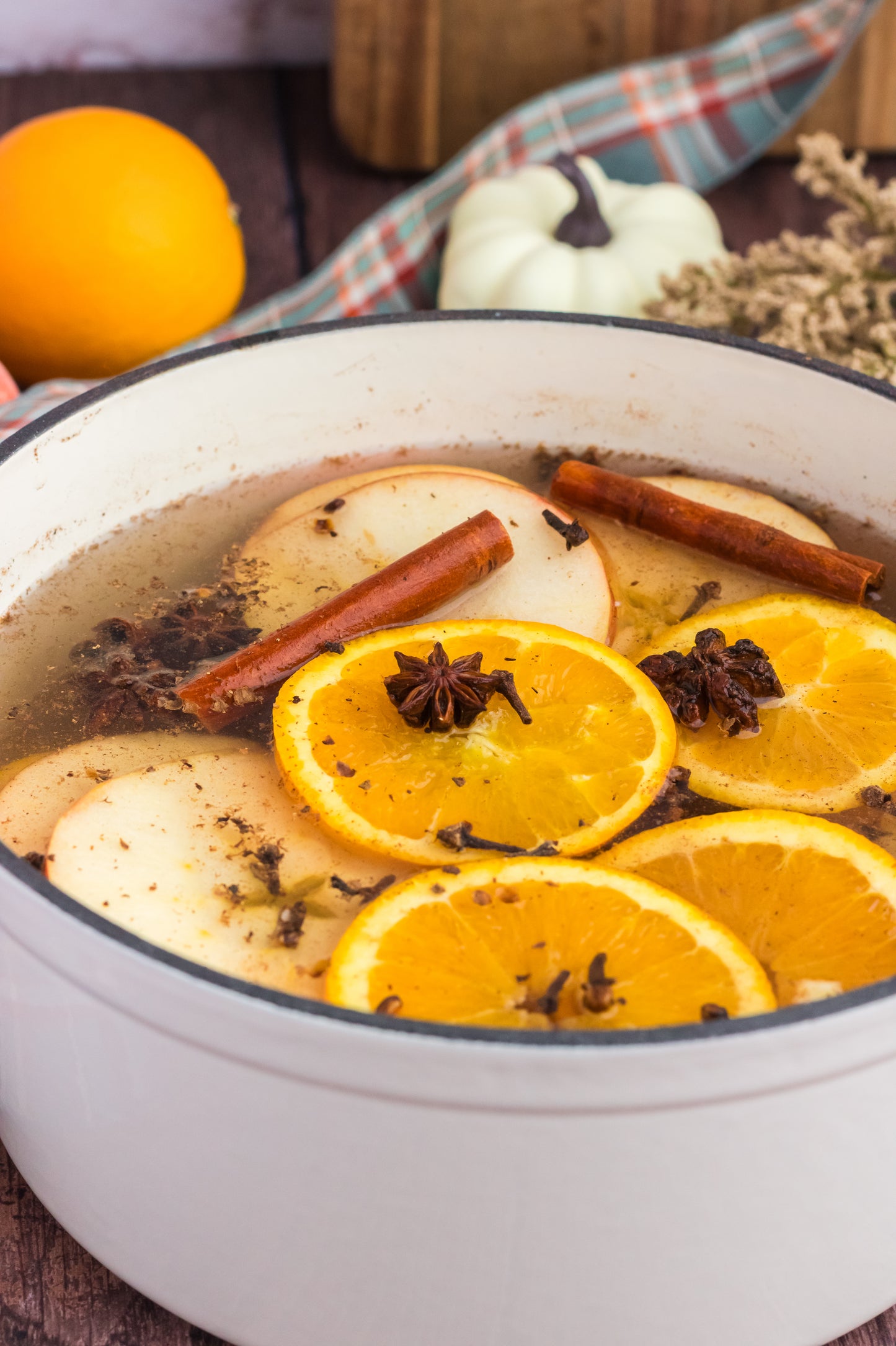 Pumpkin Spice Simmer Pot- Set 1