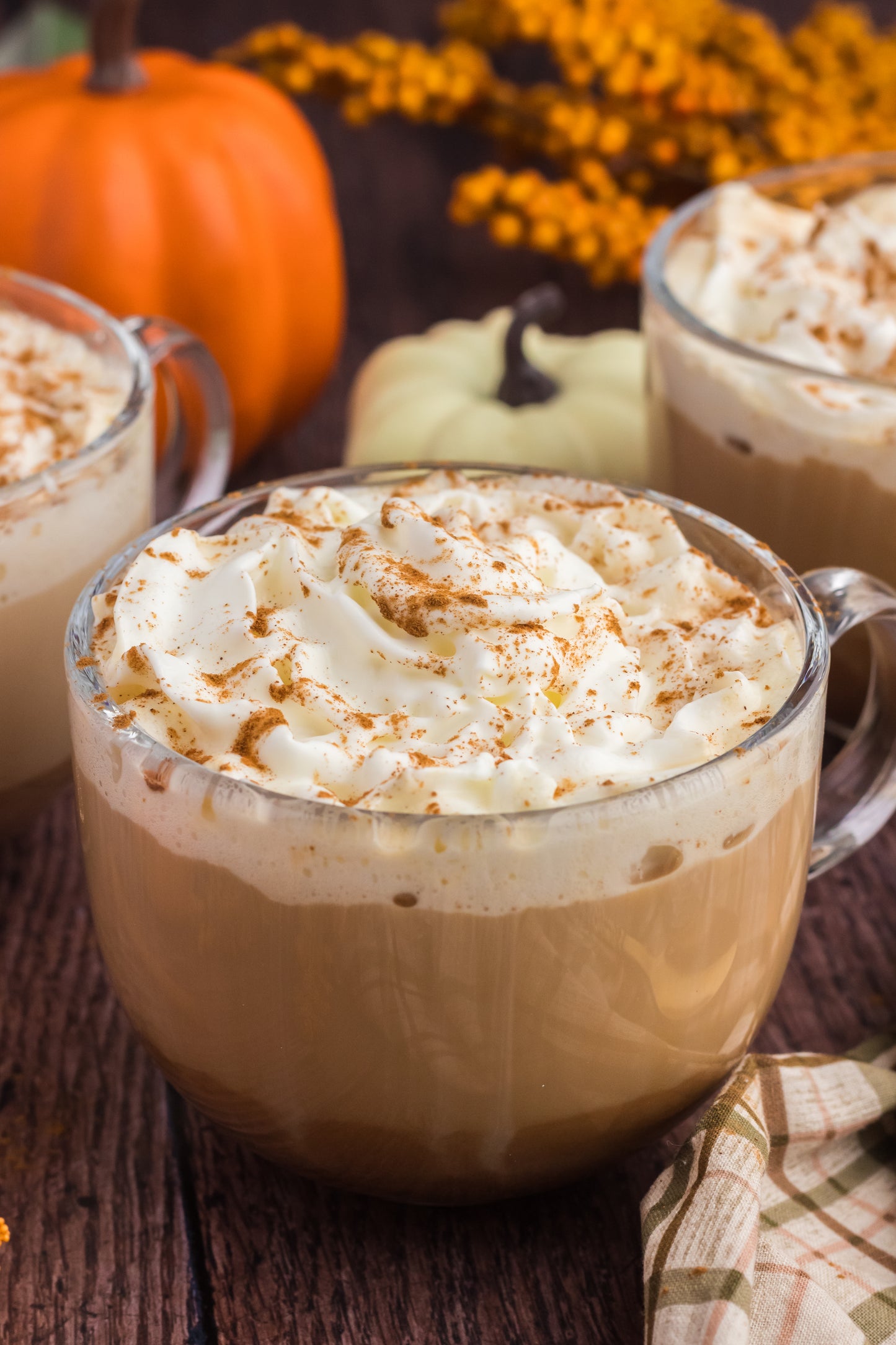Pumpkin Spice Latte- Set 1