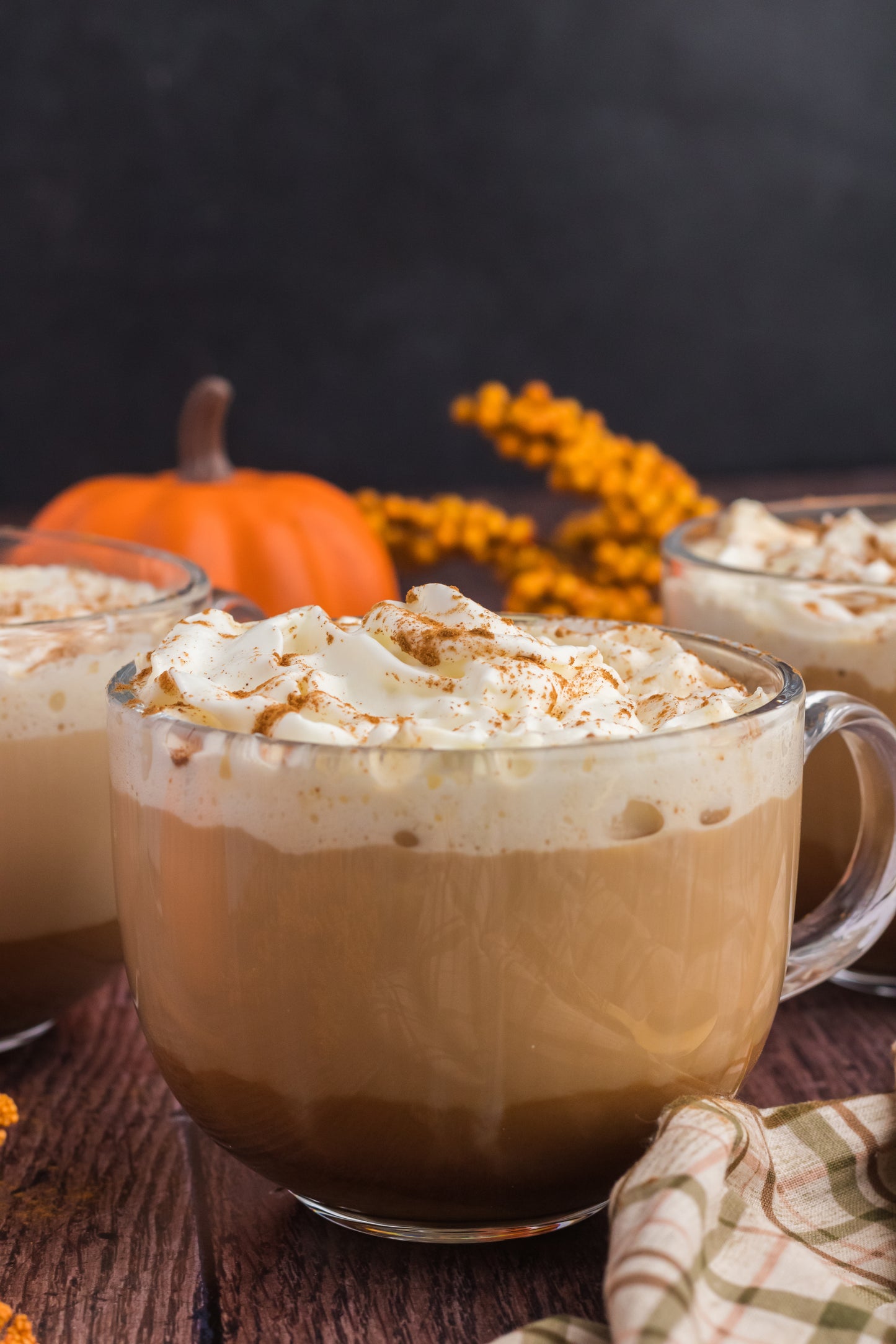 Pumpkin Spice Latte- Set 1
