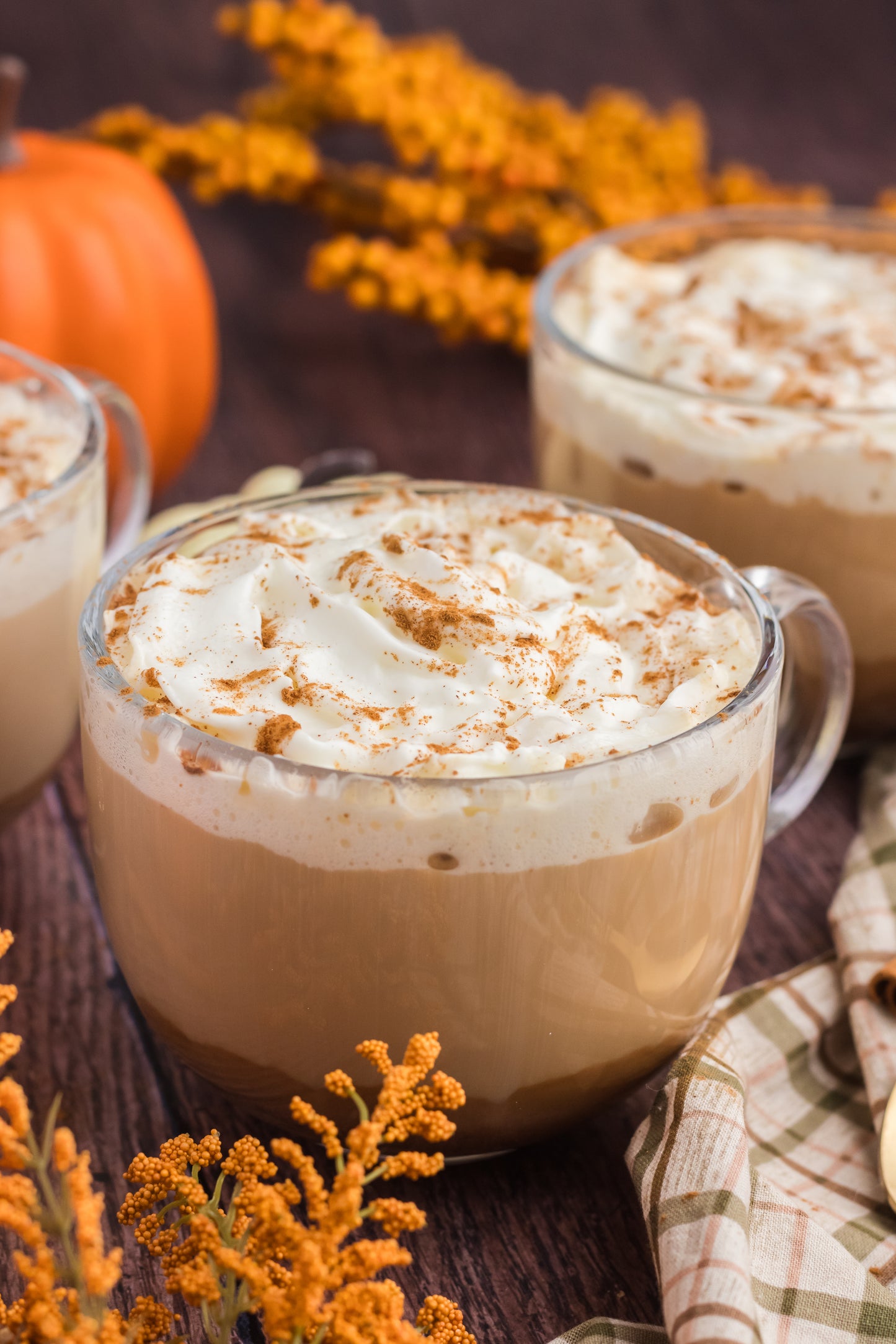 Pumpkin Spice Latte- Set 1