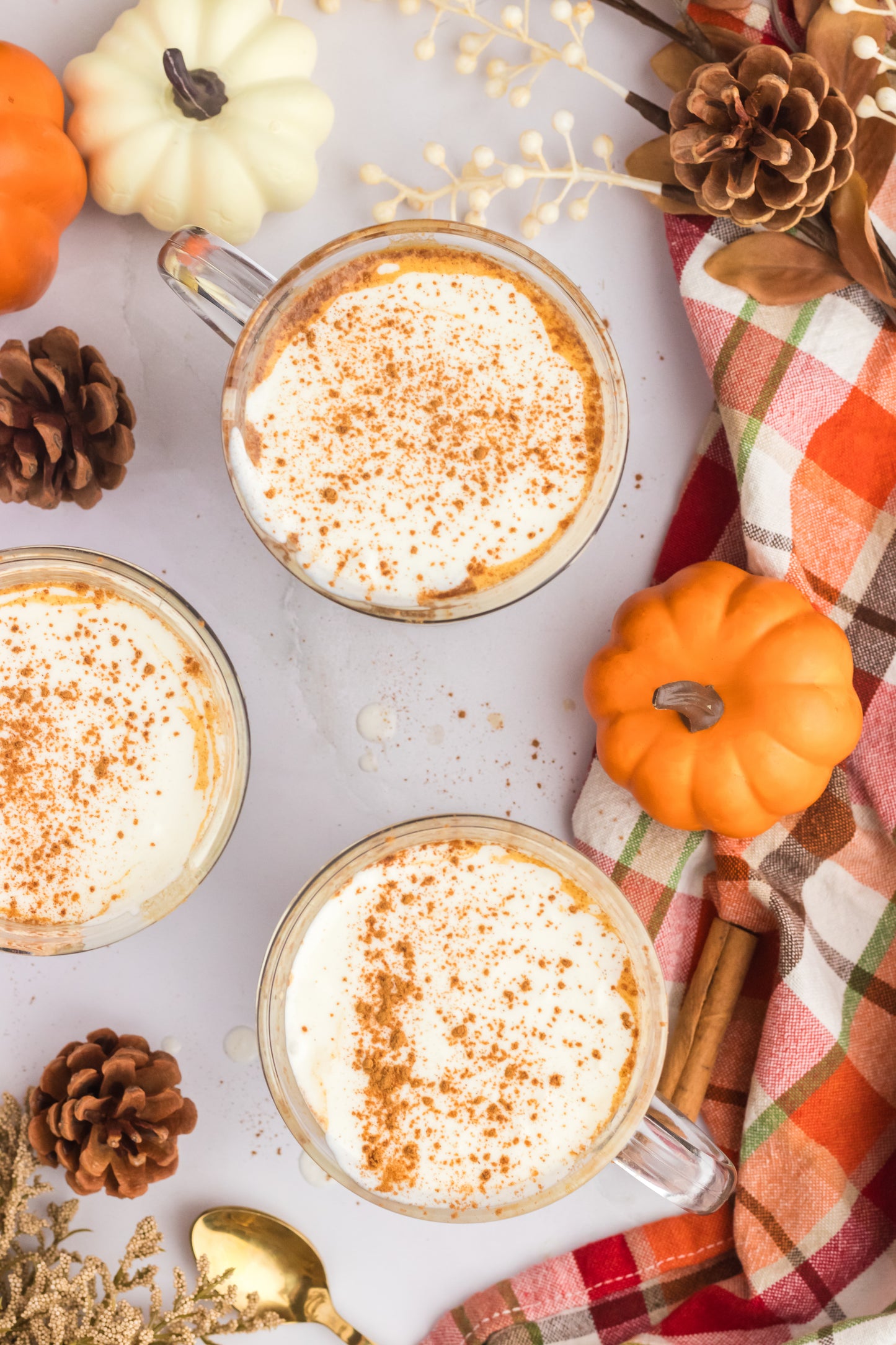 Pumpkin Spice Latte- Set 2