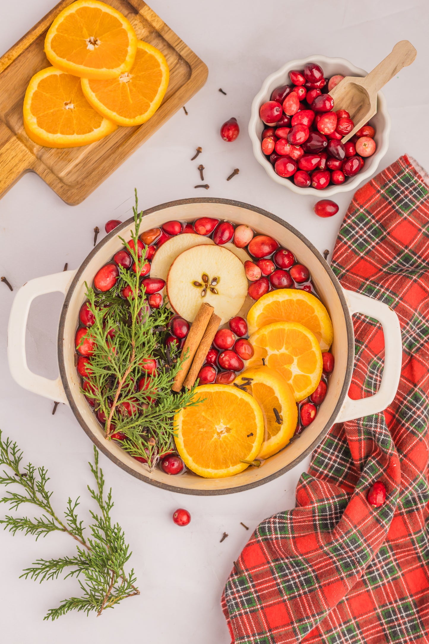 Holiday Simmer Pot Set 1