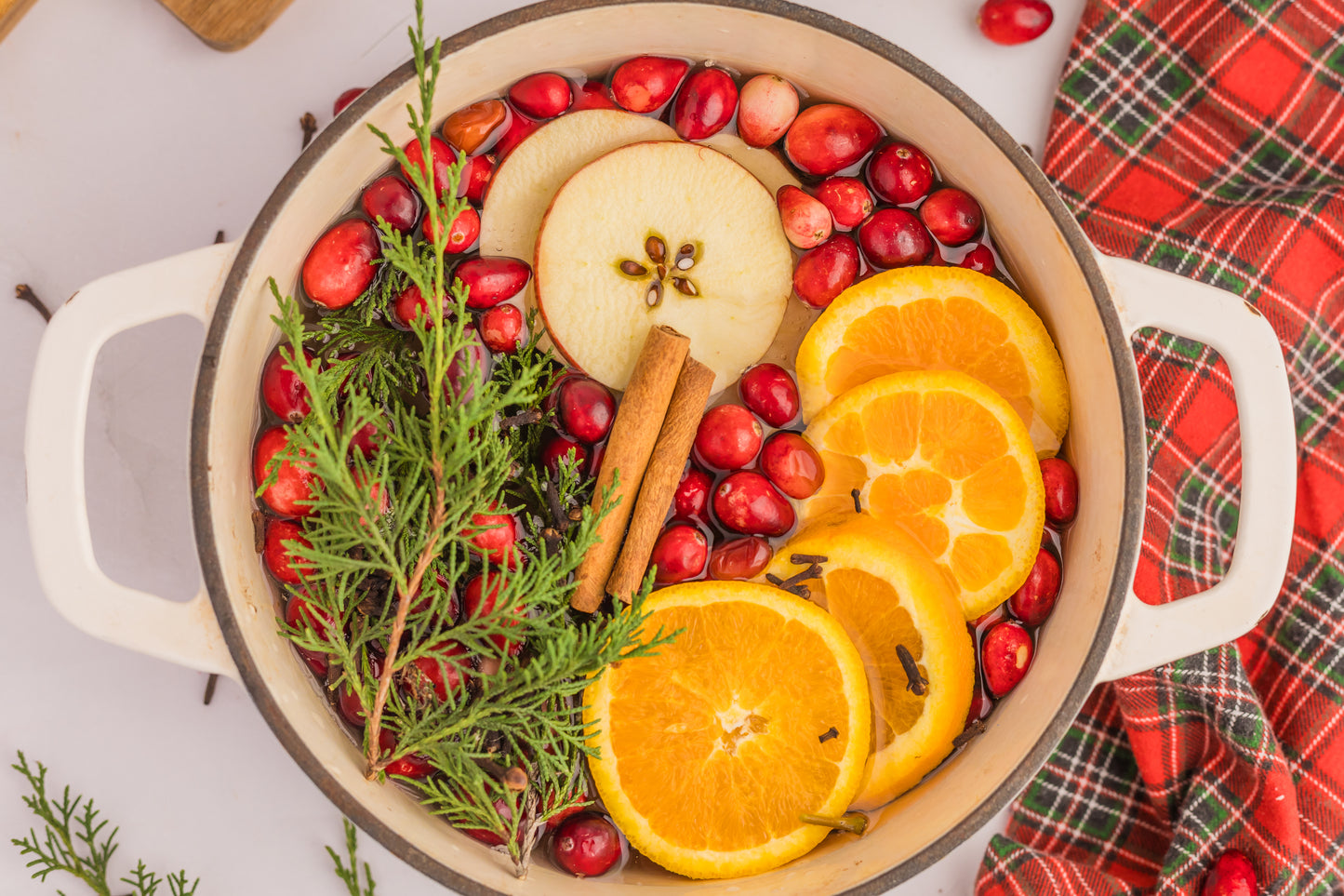 Holiday Simmer Pot Set 1