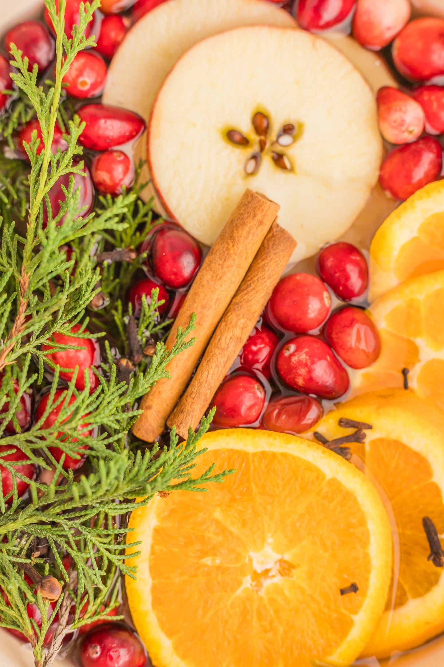 Holiday Simmer Pot Set 1