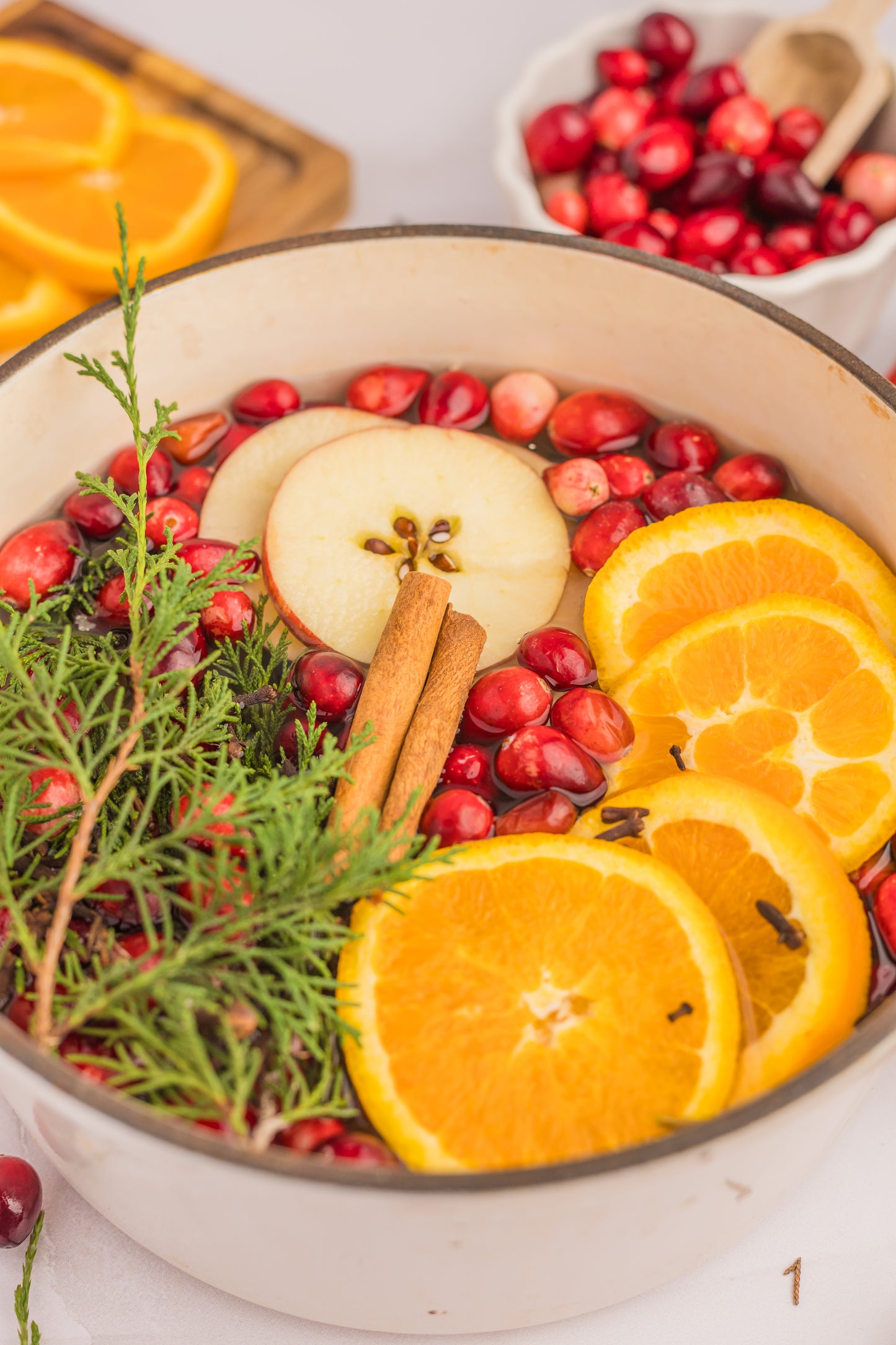 Holiday Simmer Pot Set 1