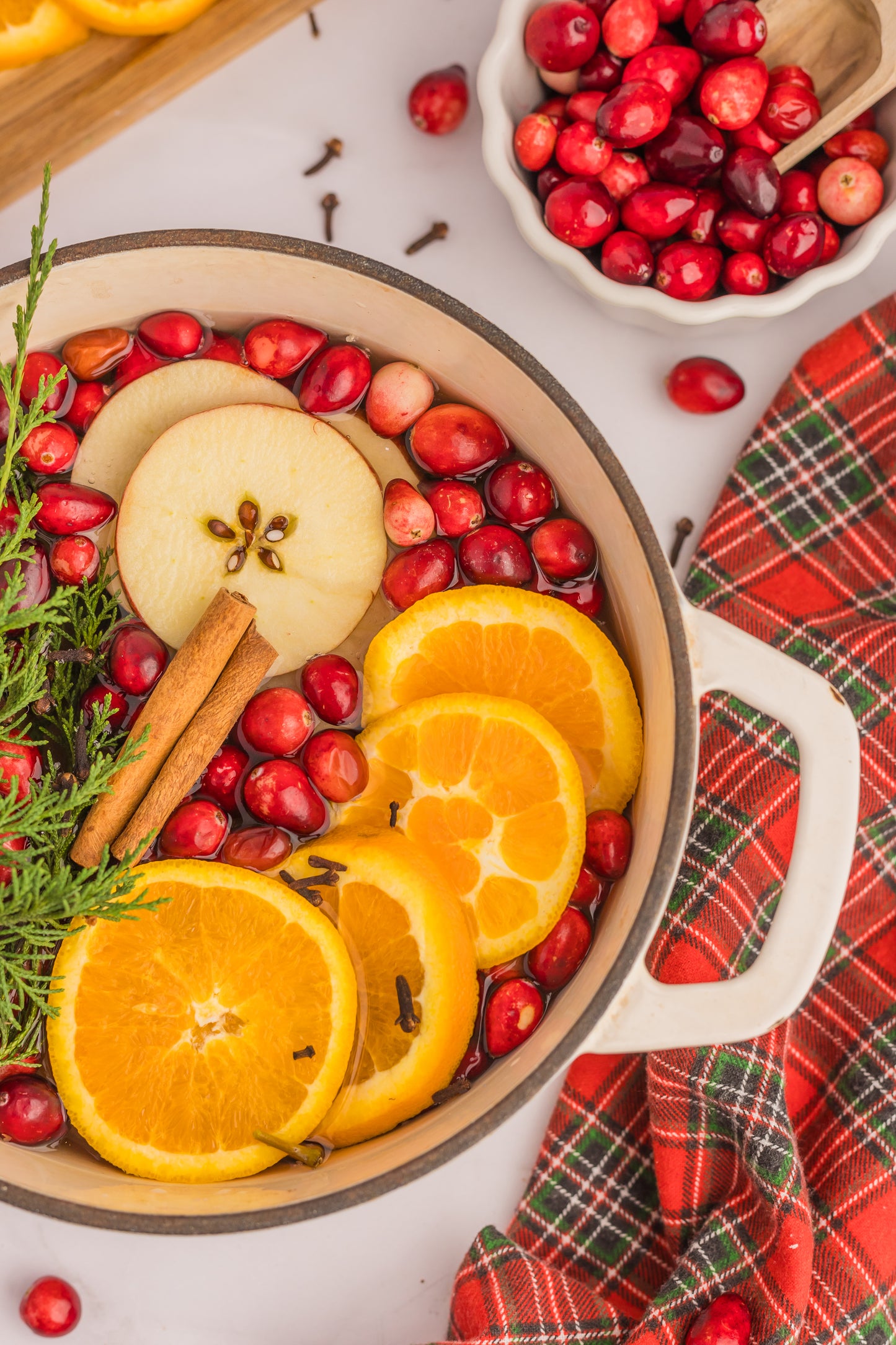 Holiday Simmer Pot Set 1