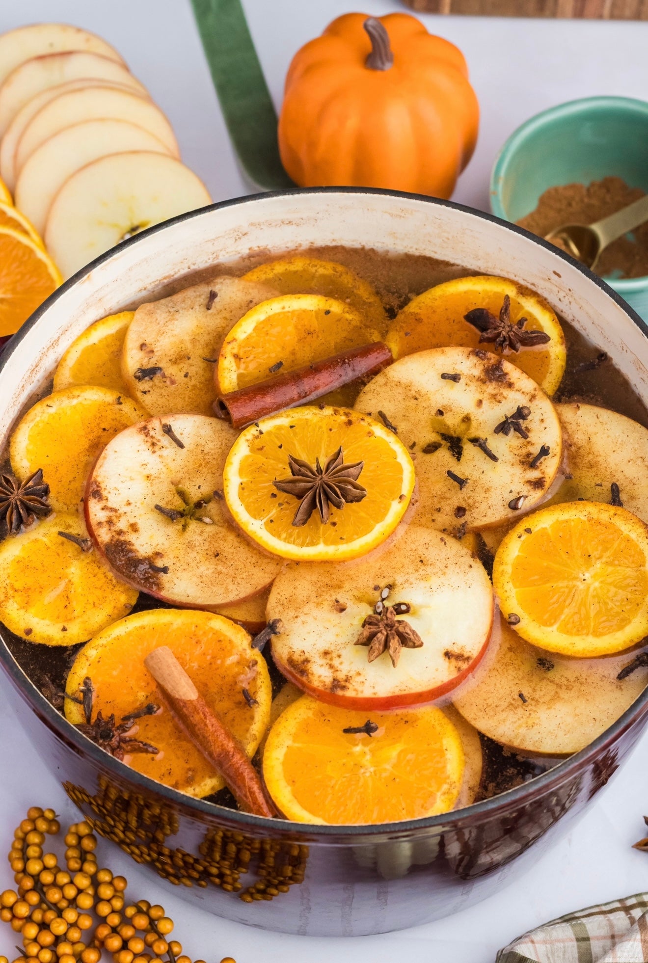 Pumpkin Spice Simmer Pot- Set 2