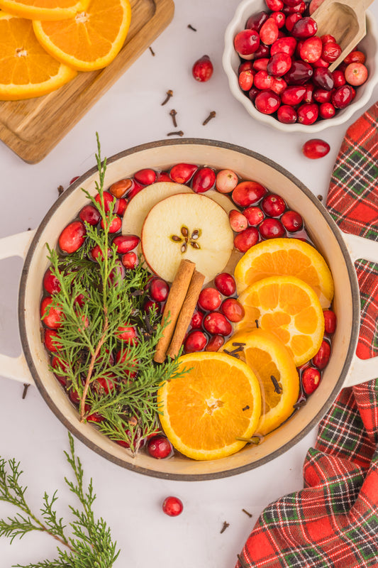 Holiday Simmer Pot Set 1