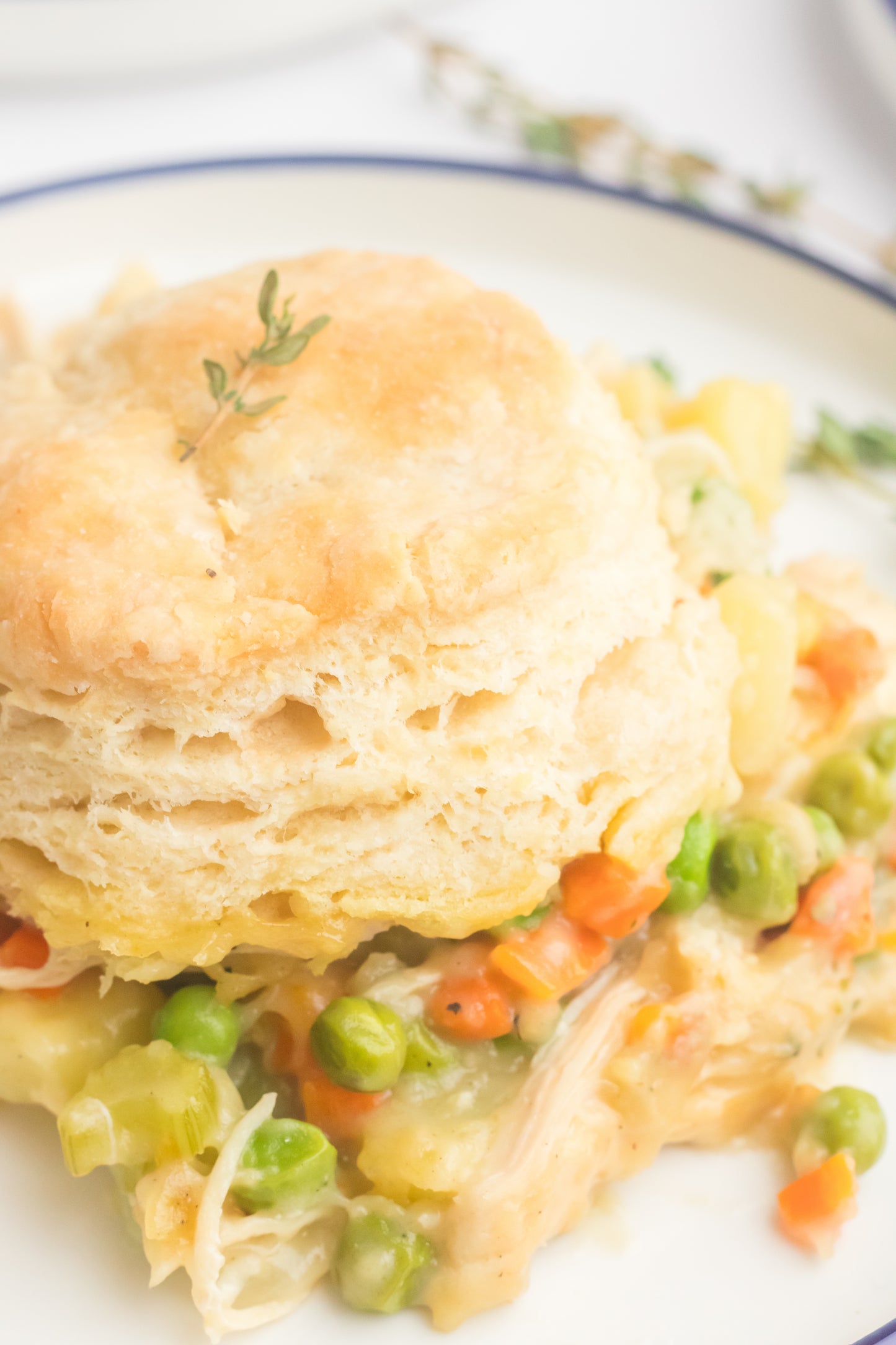 Chicken Pot Pie with Biscuits Set 1