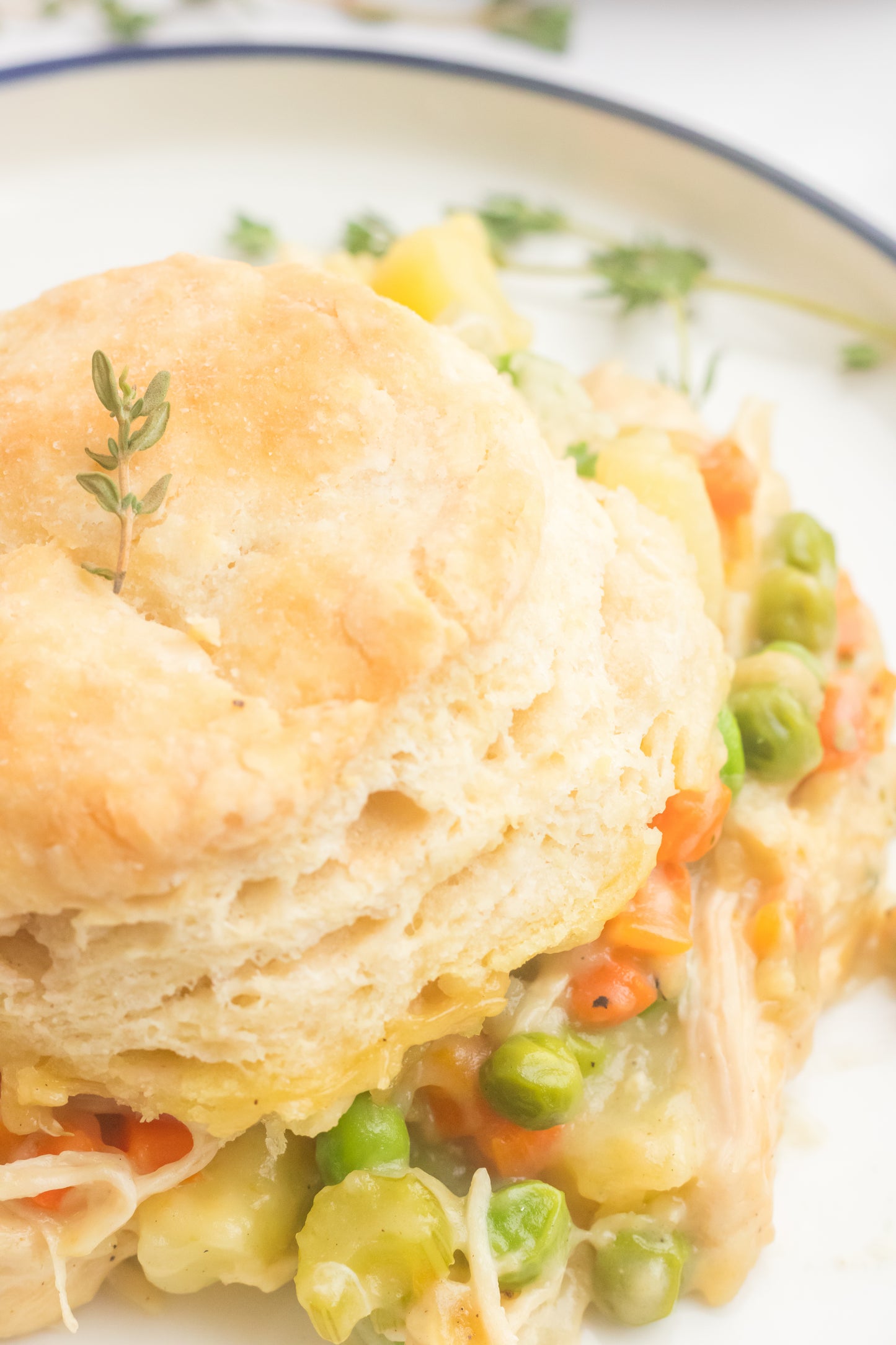 Chicken Pot Pie with Biscuits Set 1